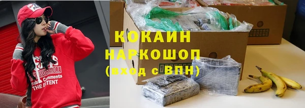 2c-b Бородино