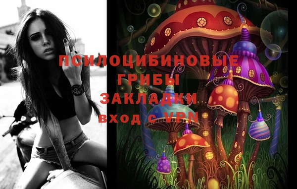 2c-b Бородино