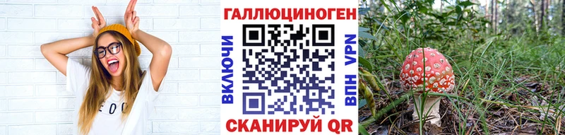 Псилоцибиновые грибы прущие грибы  Поворино 